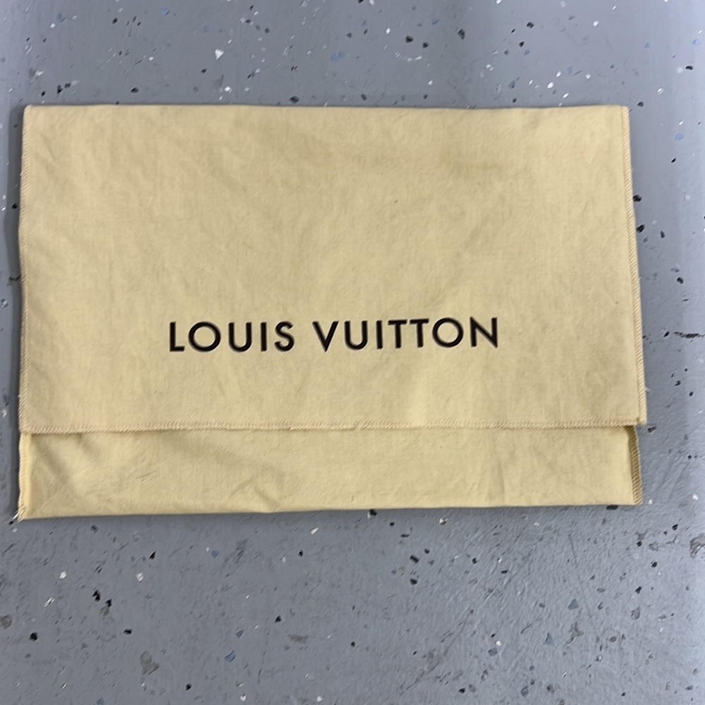 Louis Vuitton Purse Duster Bag